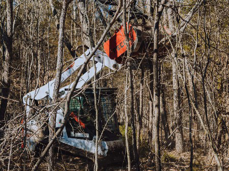 Land Clearing & Underbrush Removal by Brush Pros of Alabama
