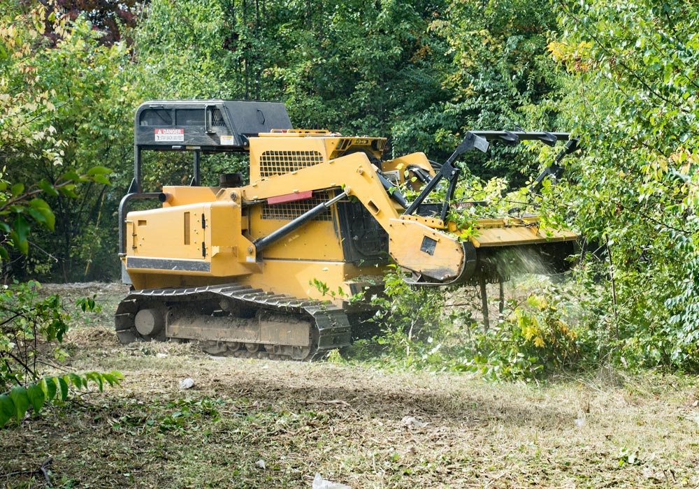 Step 2: Precise Land Clearing & Mulching by Brush Pros of Alabama